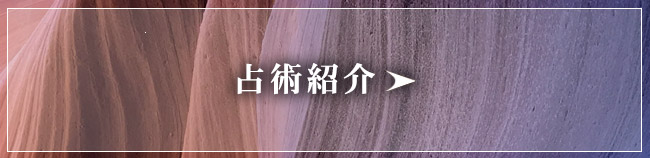占術紹介
