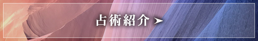 占術紹介